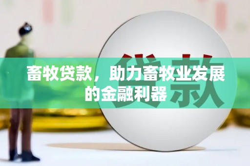 茂南畜牧贷款，助力畜牧业发展的金融利器