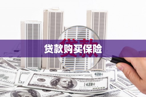 茂南贷款购买保险