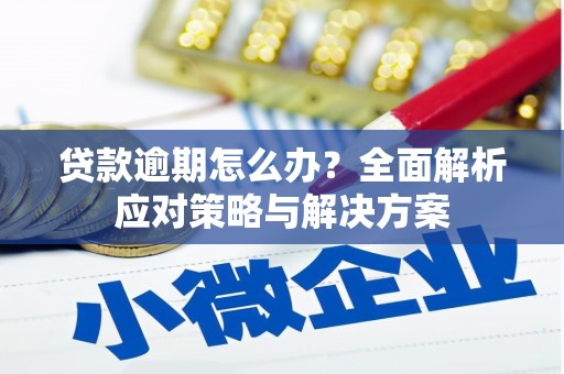 茂南贷款逾期怎么办？全面解析应对策略与解决方案