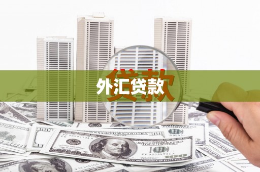 茂南外汇贷款