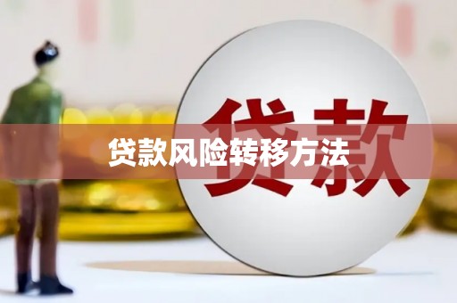 茂南贷款风险转移方法