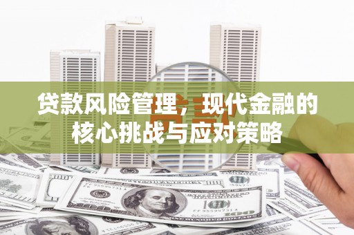 茂南贷款风险管理，现代金融的核心挑战与应对策略
