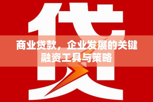 茂南商业贷款，企业发展的关键融资工具与策略