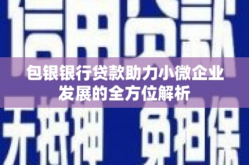 茂南包银银行贷款助力小微企业发展的全方位解析