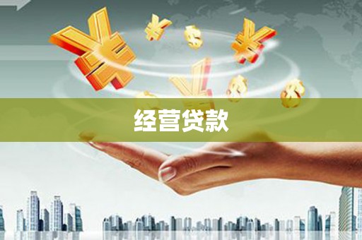 茂南经营贷款