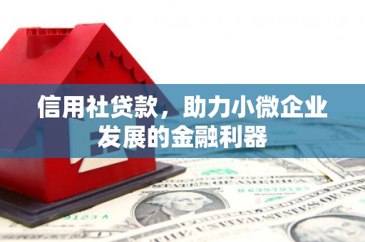 茂南信用社贷款，助力小微企业发展的金融利器