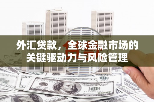 茂南外汇贷款，全球金融市场的关键驱动力与风险管理