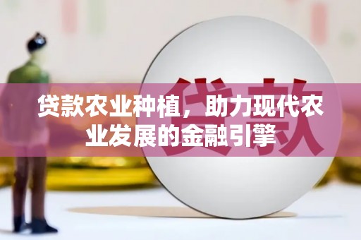 茂南贷款农业种植，助力现代农业发展的金融引擎