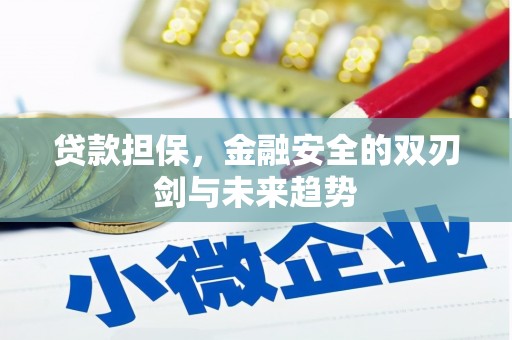 茂南贷款担保，金融安全的双刃剑与未来趋势