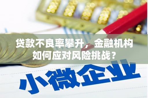 茂南贷款不良率攀升，金融机构如何应对风险挑战？