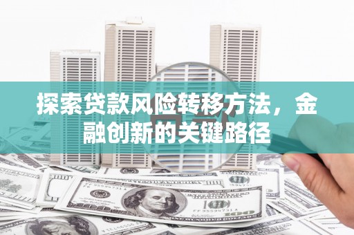 茂南探索贷款风险转移方法，金融创新的关键路径