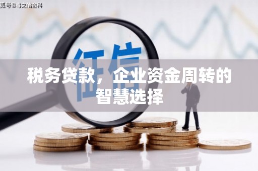 茂南税务贷款，企业资金周转的智慧选择