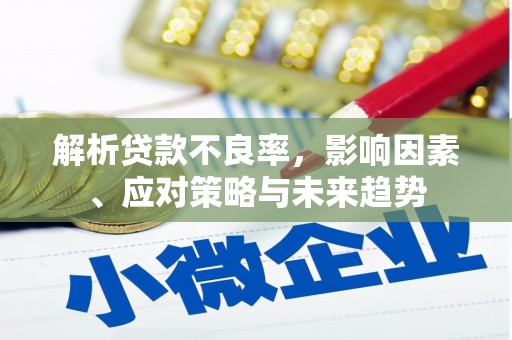 茂南解析贷款不良率，影响因素、应对策略与未来趋势