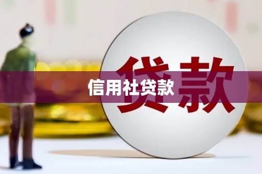 茂南信用社贷款