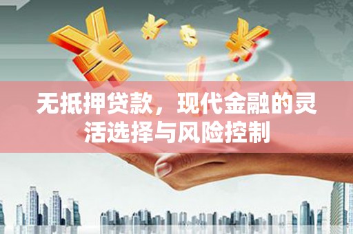 茂南无抵押贷款，现代金融的灵活选择与风险控制