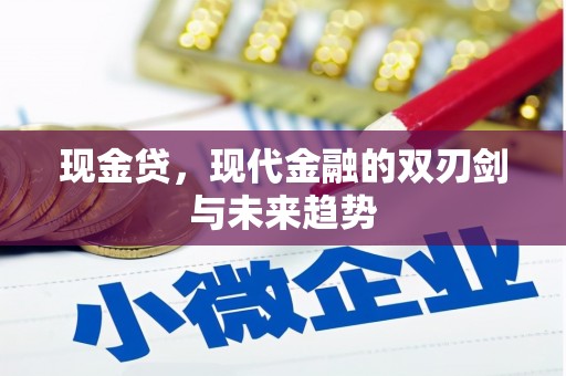 茂南现金贷，现代金融的双刃剑与未来趋势