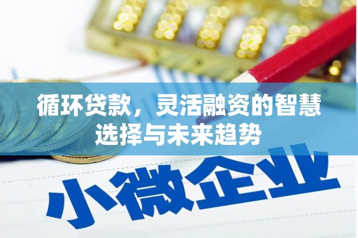 茂南循环贷款，灵活融资的智慧选择与未来趋势