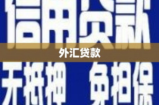 茂南外汇贷款