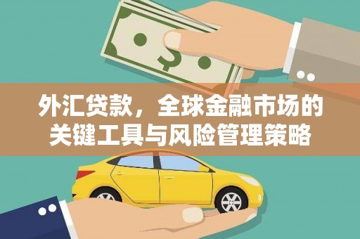 茂南外汇贷款，全球金融市场的关键工具与风险管理策略