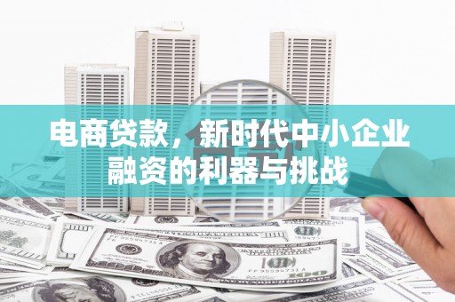 茂南电商贷款，新时代中小企业融资的利器与挑战