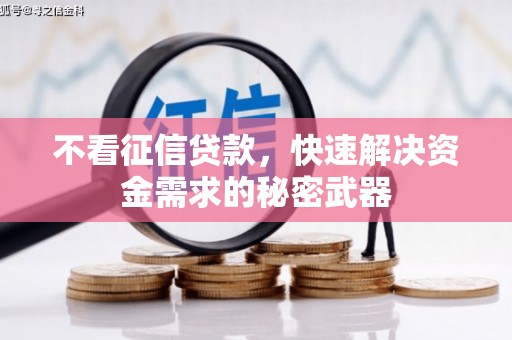 茂南不看征信贷款，快速解决资金需求的秘密武器