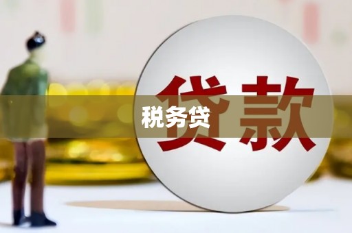 茂南税务贷