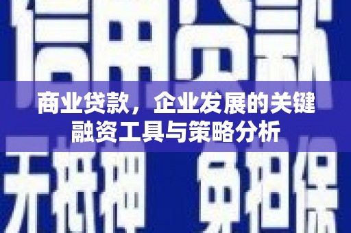 茂南商业贷款，企业发展的关键融资工具与策略分析