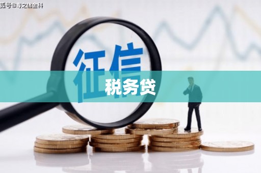 茂南税务贷
