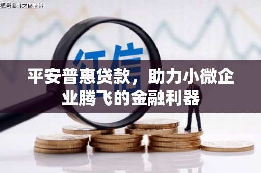 茂南平安普惠贷款，助力小微企业腾飞的金融利器