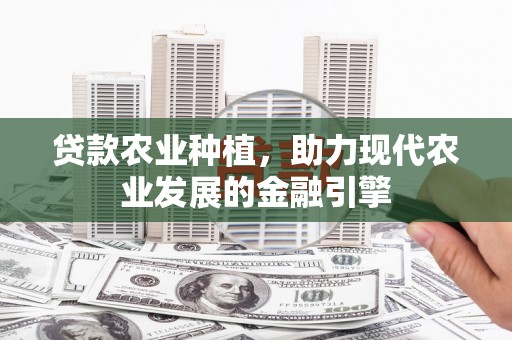 茂南贷款农业种植，助力现代农业发展的金融引擎