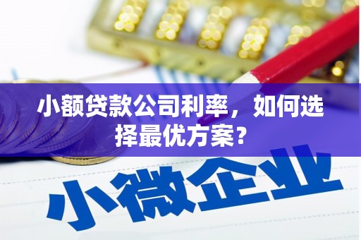 茂南小额贷款公司利率，如何选择最优方案？