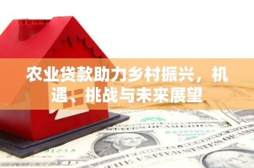 茂南农业贷款助力乡村振兴，机遇、挑战与未来展望