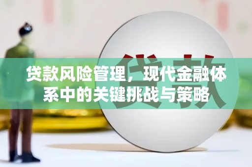 茂南贷款风险管理，现代金融体系中的关键挑战与策略