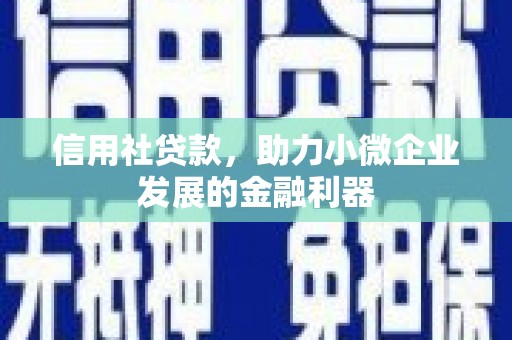 茂南信用社贷款，助力小微企业发展的金融利器