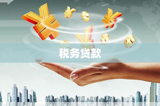茂南税务贷款