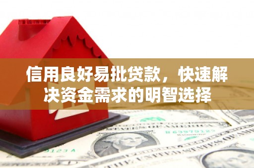 茂南信用良好易批贷款，快速解决资金需求的明智选择