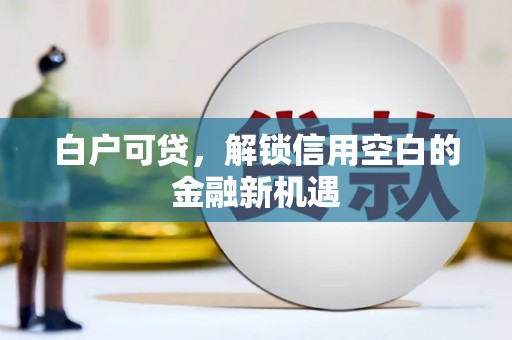 茂南白户可贷，解锁信用空白的金融新机遇