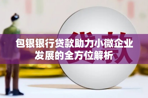 茂南包银银行贷款助力小微企业发展的全方位解析
