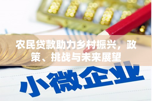 茂南农民贷款助力乡村振兴，政策、挑战与未来展望