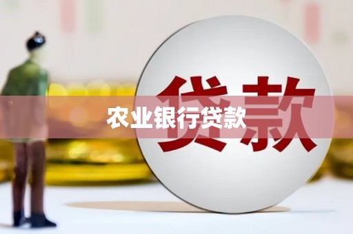茂南农业银行贷款