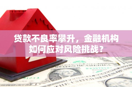 茂南贷款不良率攀升，金融机构如何应对风险挑战？