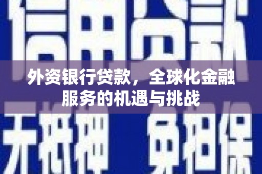 茂南外资银行贷款，全球化金融服务的机遇与挑战