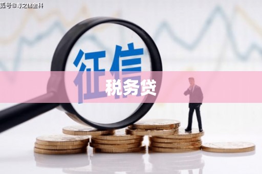 茂南税务贷