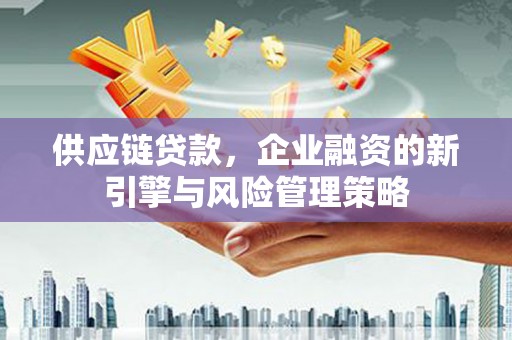 茂南供应链贷款，企业融资的新引擎与风险管理策略