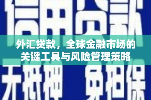 茂南外汇贷款，全球金融市场的关键工具与风险管理策略