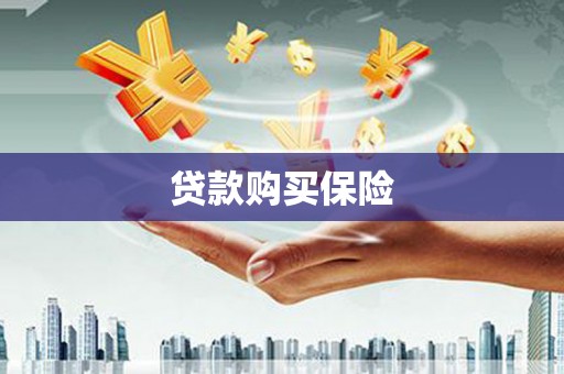 茂南贷款购买保险