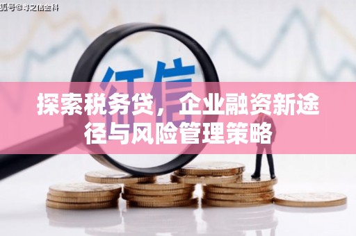 茂南探索税务贷，企业融资新途径与风险管理策略