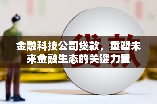 茂南金融科技公司贷款，重塑未来金融生态的关键力量