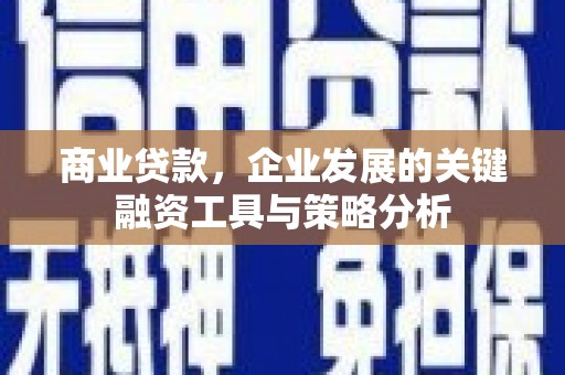 茂南商业贷款，企业发展的关键融资工具与策略分析