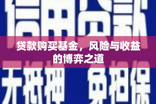 茂南贷款购买基金，风险与收益的博弈之道